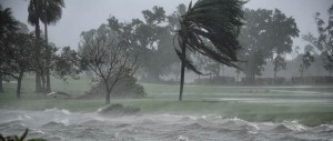 Back Nine Golfstars fliehen vor Hurrikan Irma