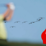 Mitgliedschaft finden auf www.golfpost.de! (Bild: GettyImages)