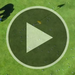 Ein Grün voller Bälle und immer noch kein Hole in One. (Foto: Screenshot Youtube/Skratch)