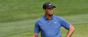 Back Nine Tiger Woods Bälle