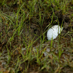 Liegt der Ball im Matsch, weiß man besser, was zu tun ist. (Foto: Getty)