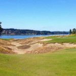 Raue Golfschönheit im pazifischen Nordwesten der USA: Chambers Bay mit seiner "Lone Fir" am Puget Sund. (Foto: Michael F. Basche)