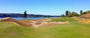 Raue Golfschönheit im pazifischen Nordwesten der USA: Chambers Bay mit seiner "Lone Fir" am Puget Sund. (Foto: Michael F. Basche)