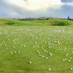 Die Aktion der Greenkeper des Galway Bay Golf Resorts macht deutlich, wie viele Pitchmarken nicht richitg oder gar nicht ausgebessert werden. (Foto: twitter/GaryByrne_)