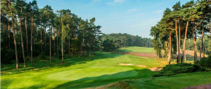 In Deutschland gibt es viele unterschiedliche Parkland-Kurse. Wir stellen die besten Plätze vor. (Foto: Hamburg GC)