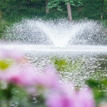 Über 3.000 9-Loch-Turniere zwischen April und September in ganz Deutchland: Das ist der Mercedes-Benz AWGC! (Foto: awgc.de)