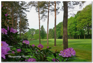 Parkland in Reinkultur erwartet die European Tour beim Belgian Knockout im Antwerp International G&CC Rinkven. (Foto: Antwerp International G&CC Rinkven)