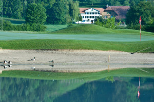 Golfclub Limpachtal