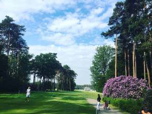 Der RInkven G&CC präsentierte sich zum ProAm des Belgian Knockouts in einem prächtigen Zustand. (Foto: Golf Post)