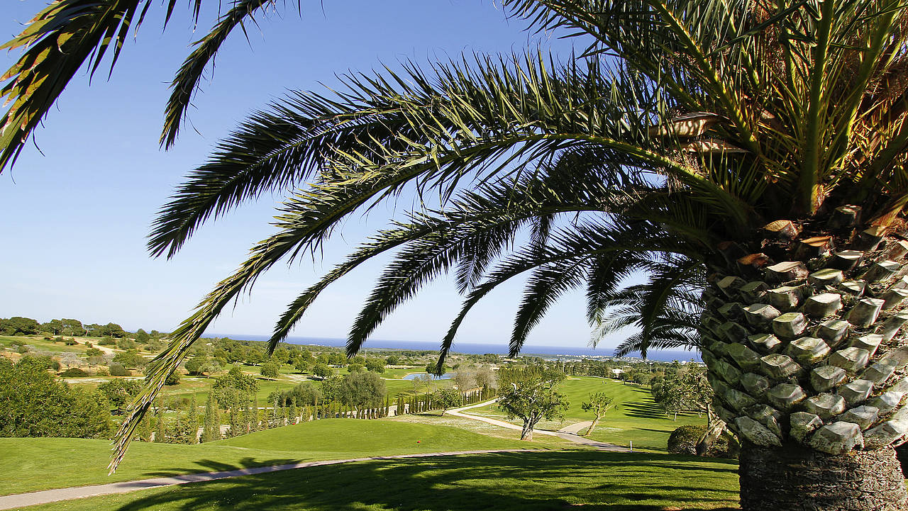 Golfen unter Palmen auf Mallorca. (Foto: ROBINSON)