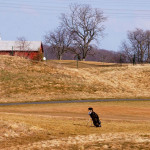 Braun statt grün - so sahen auch viele deutsche Golfplätze in diesem Sommer aus. (Foto: Getty)