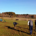 Fleißige Helfer haben im Golfclub Mudau die Wildschweinschäden ausgebessert. (Foto: Golfclub Mudau)