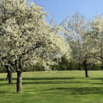 Der Platz erwacht aus seinem Winterschlaf und die Golfer stehen in den Startlöchern. Die Saison kann beginnen! (Bildquelle: GC Schönbuch)