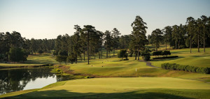 Ein Blick auf den Forest Hills Golf Course in Augusta. (Foto: Facebook/@ForestHillsGolfClub)