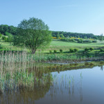 Der 2.Men's Day des GC am Donnersberg. (Bildquelle: GC am Donnersberg)