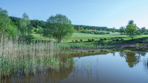 Der 2.Men's Day des GC am Donnersberg. (Bildquelle: GC am Donnersberg)