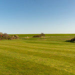 Bald kann es richtig losgehen! Die Fairways haben jetzt ihren 1st Cut bekommen. (Bildquelle: GC Insel Langeoog)