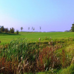 Beim Golfplatz Werne an der Lippe wurde vieles erneuert. (Foto: allsquaregolf)