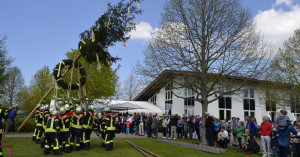 Das Maibaumstellen im GC Reutlingen Sonnenbühl hat Tradition. (Bild: GC Reutlingen Sonnenbühl)