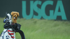 Die USGA muss sich deutliche Kritik gefallen lassen. (Foto: Getty)