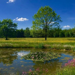Mit seiner tollen Lage und seinem außergewöhnlichen Platzangebot hat der Golfclub Memmingen einiges zu bieten. (Foto: GC Memmingen)