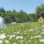 Das neue Pilotprojekt stößt auf überwältigende Resonanz bei den Golfanlagen in Baden-Württemberg. (Quelle: DGV/Füssinger)