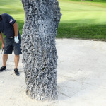 Die Golfspieler vertreiben sich in Zeiten des Coronavirus auf unterschiedlichste Art und Weise die golffreie Zeit. (Bildquelle: Getty)