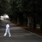 Die Zufahrt zum Augusta National Club, die Magnolia Lane, ist die letzte Hürde auf dem Weg zum Masters und in eine sagenumwobene Welt. (Foto: Getty)