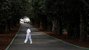 Die Zufahrt zum Augusta National Club, die Magnolia Lane, ist die letzte Hürde auf dem Weg zum Masters und in eine sagenumwobene Welt. (Foto: Getty)