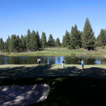 Die Barracuda Championship 2020 live verfolgen. (Foto: Getty)