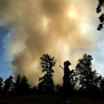 Die Cambia Portland Classic wird aufgrund der gefährlichen Luftqualität auf 54 Löcher verkürzt. (Foto: Getty)