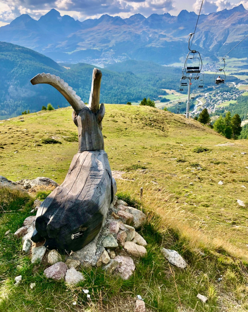 Foto Jürgen Linnenbürger: Der 'König der Alpen‘ wacht hoch oben auf der Seilbahnstation 'Alp Languard'