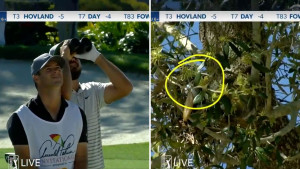 Hobby-Ornithologe Jason Day. (Foto: Twitter.com/PGATour)