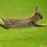 Frohe Ostern! (Foto: Getty)