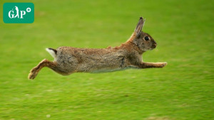 Frohe Ostern! (Foto: Getty)