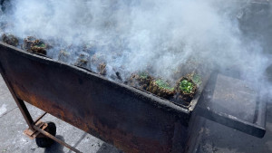 Ein Spezialität auf dem Fischmarkt in Catania: Gegrillte Artischocken, sehr lecker (Foto: Golf Post)