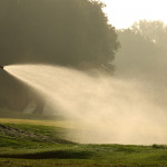 Die PGA Tour verteilt noch mehr Geld. (Foto: Getty)