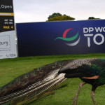 Startschuss für die DP World Tour bei der Joburg Open. (Foto: Getty)