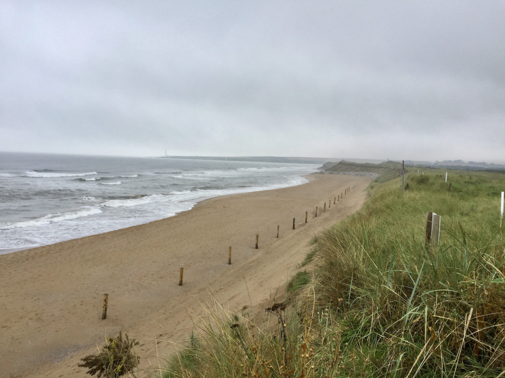 Die Nordseeküste an den Montrose Golf Links. (Foto: David Basche)