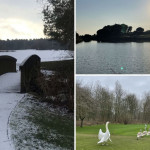 Urlaub im Ausland, eingeschneite Golfplätze in der Heimat und Tiere am Abschlag: Die Highlights der Community im Januar.