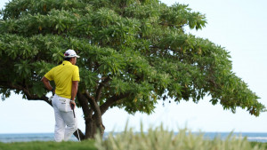 Hideki Matsuyama wartet auf seinen Einsatz (Foto: Getty)