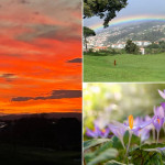 Die Highlights des Februars aus der Golf Post Community.