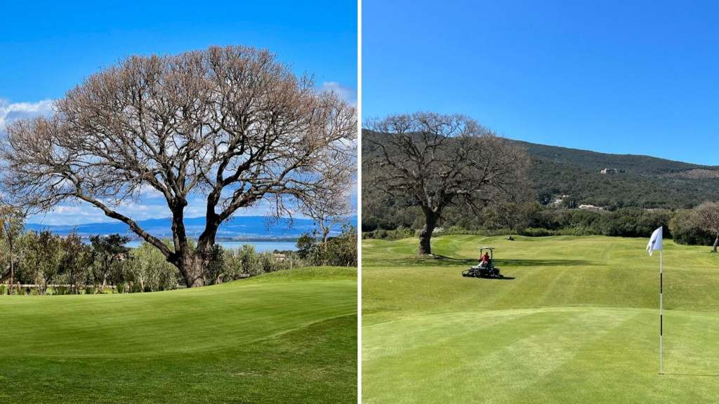 Baumriesen säumen die Fairways (Foto: Jürgen Linnenbürger)