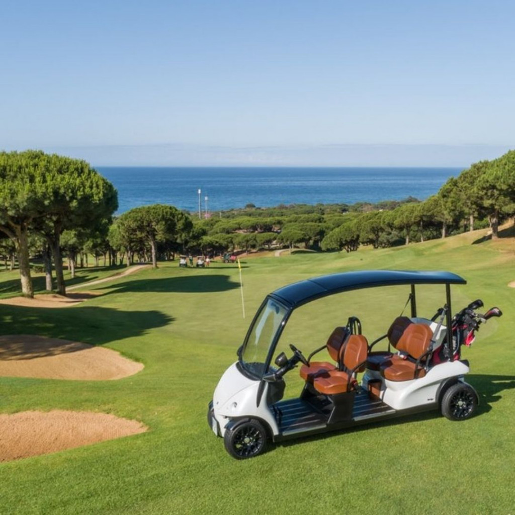 Das Golfcar(t) von Garia in der "normalen" Version. Die Queen bekommt einige Sonderausstattungen. (Foto: Twitter/@gariagolfcar)