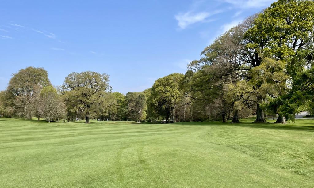 Loch 10 von Mount Juliet: Direkt über rechts oder links herum zur Fahne? (Foto: Michael F. Basche)