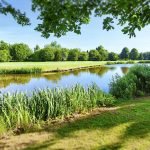 Der Golf Club Verden richtet ein Q-School-Turnier zur Pro Golf Tour aus. (Foto: Getty)