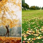 Golf im Herbst wird durch Laub auf dem Kurs erschwert. (Fotos: Instagram/@ohiojonny & Twitter/@StuJokerJones)