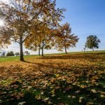 Der Golf-Club Heilbronn Hohenlohe bereichert den Golfkalender 2023 im November. (Foto: Getty)