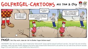 Die Regel zu losen hinderlichen Naturstoffen im Hindernis von Tom und Chip. (Bild: Yves C. Ton-That und Michael Weinhaus)