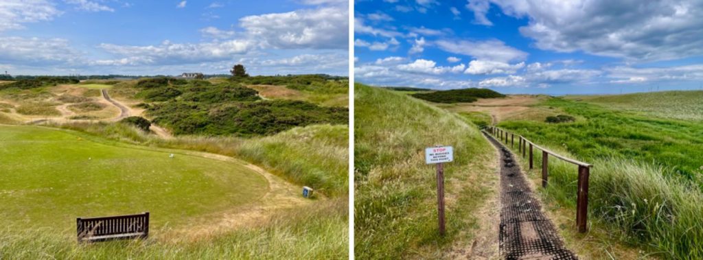 Hügeliges Terrain mit ungewohnter Einfärbung (Foto: Jürgen Linnebürger)